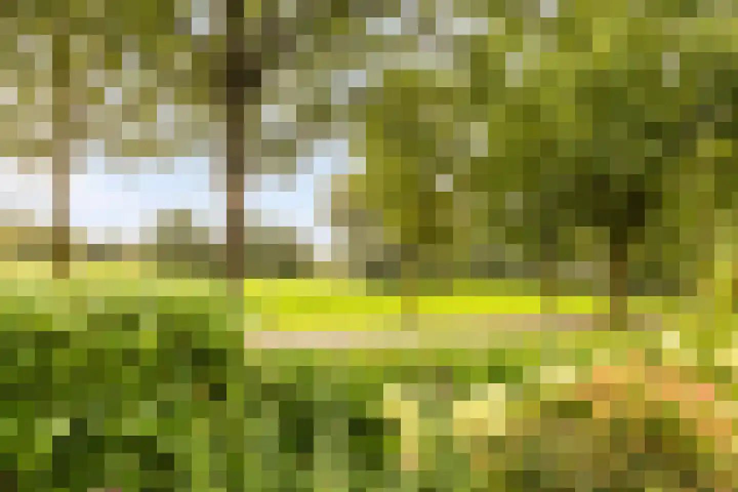 Olifiersstraat 6 Helmond thumbnail 6