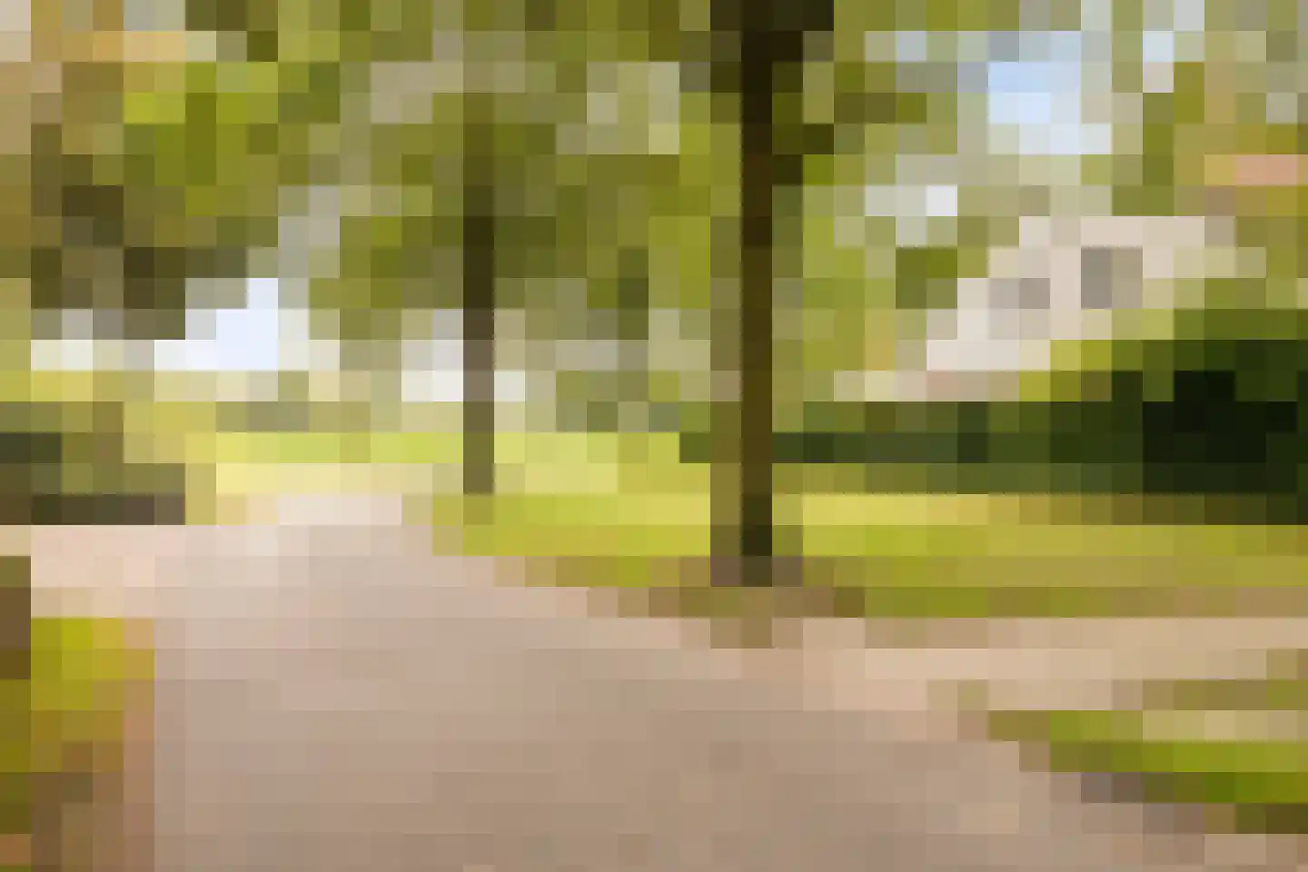 Olifiersstraat 6 Helmond thumbnail 7