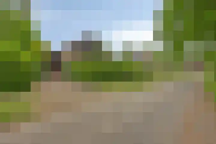 Olijdamlaan 7 Goor