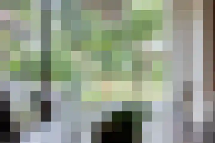 Olijdamlaan 7 Goor thumbnail 16