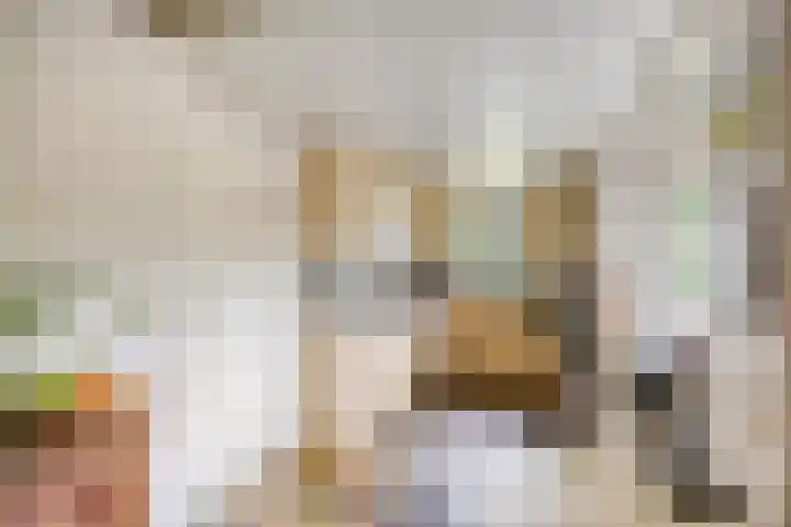 Olijdamlaan 7 Goor thumbnail 19