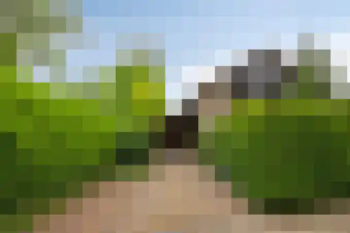 Olijdamlaan 7 Goor foto 2