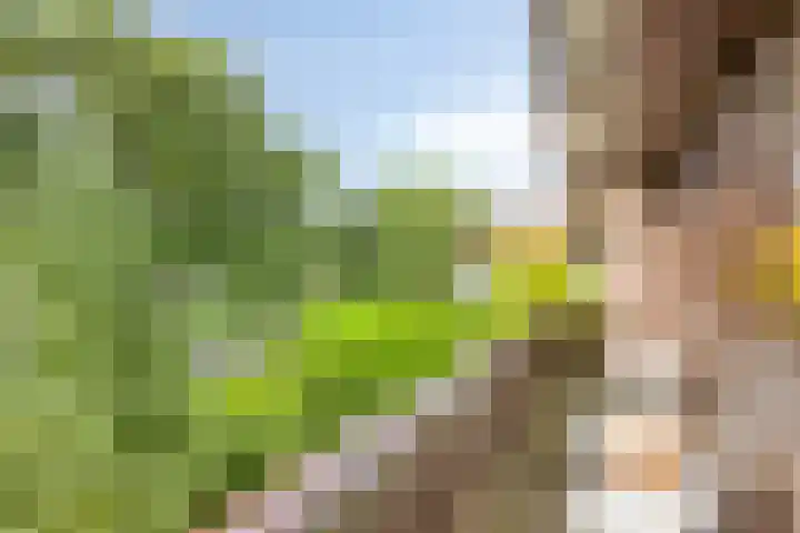 Olijdamlaan 7 Goor thumbnail 30