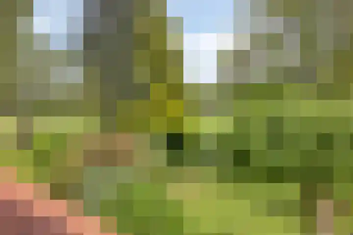 Olijdamlaan 7 Goor thumbnail 34