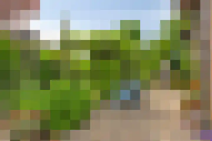 Olijdamlaan 7 Goor thumbnail 40