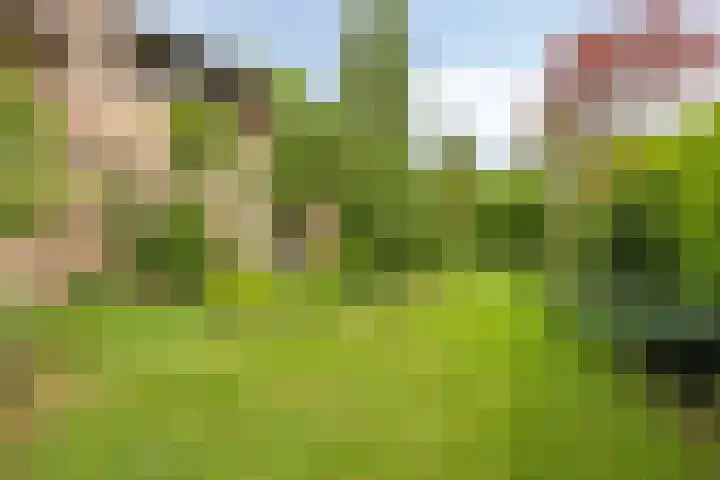 Olijdamlaan 7 Goor thumbnail 42