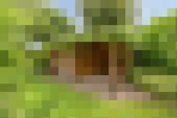 Olijdamlaan 7 Goor thumbnail 45