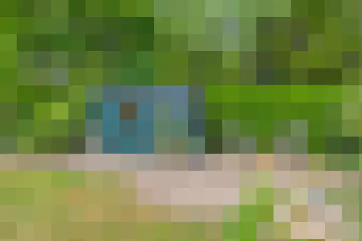 Olijdamlaan 7 Goor thumbnail 46