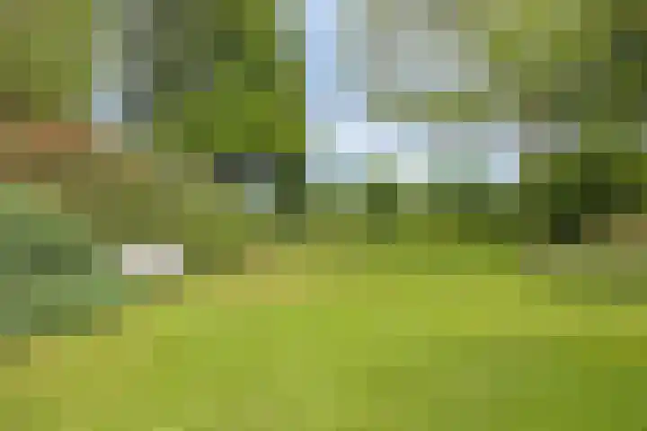 Olijdamlaan 7 Goor thumbnail 47