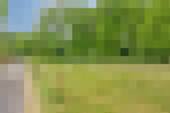 Olijdamlaan 7 Goor thumbnail 53