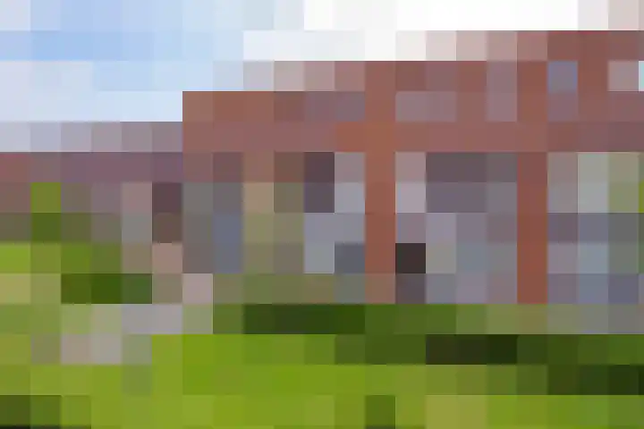 Olijfboomhof 10 IJmuiden