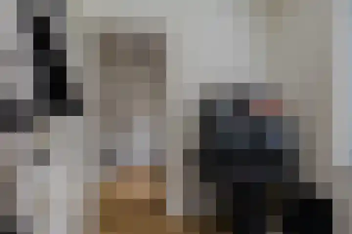 Olijfboomhof 10 IJmuiden thumbnail 13