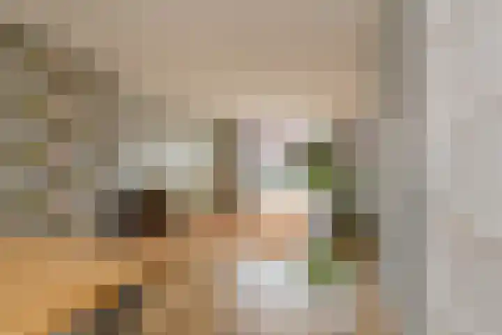 Olijfboomhof 10 IJmuiden thumbnail 17