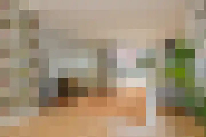 Olijfboomhof 10 IJmuiden thumbnail 18