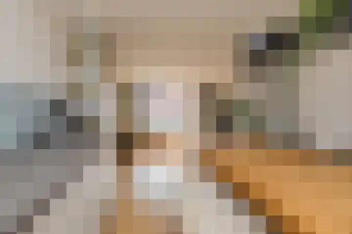 Olijfboomhof 10 IJmuiden thumbnail 19