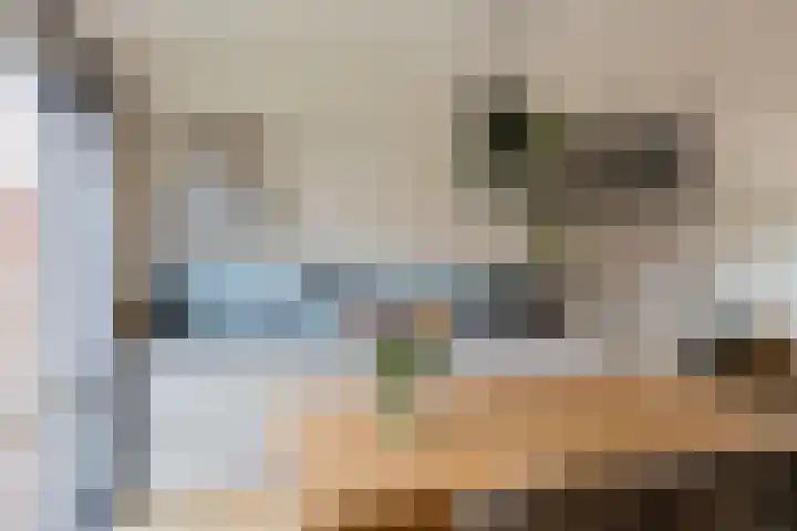Olijfboomhof 10 IJmuiden thumbnail 23