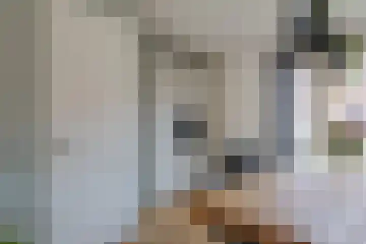 Olijfboomhof 10 IJmuiden thumbnail 24