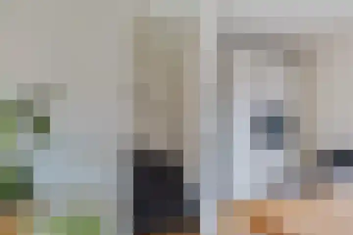 Olijfboomhof 10 IJmuiden thumbnail 27