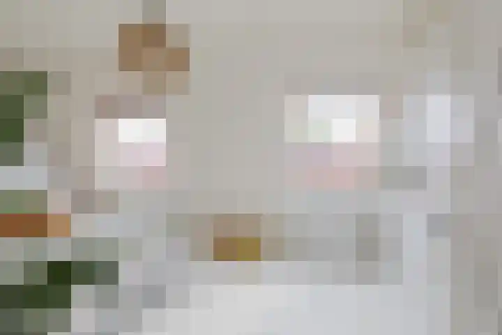 Olijfboomhof 10 IJmuiden thumbnail 29