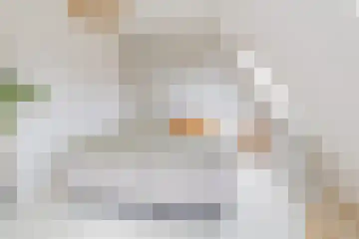 Olijfboomhof 10 IJmuiden thumbnail 30