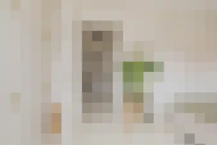Olijfboomhof 10 IJmuiden thumbnail 32