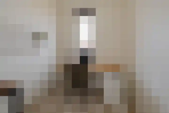 Olijfboomhof 10 IJmuiden thumbnail 35