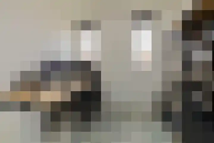 Olijfboomhof 10 IJmuiden thumbnail 37