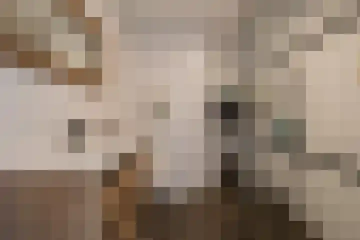Olijfboomhof 10 IJmuiden thumbnail 39