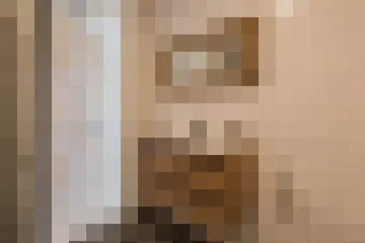 Olijfboomhof 10 IJmuiden thumbnail 41