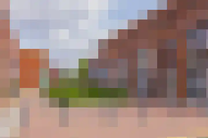 Olijfboomhof 10 IJmuiden thumbnail 42