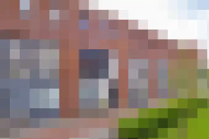 Olijfboomhof 10 IJmuiden thumbnail 43