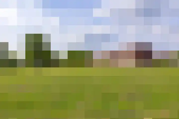 Olijfboomhof 10 IJmuiden thumbnail 44