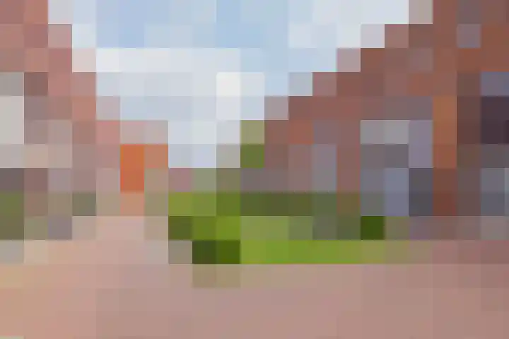 Olijfboomhof 10 IJmuiden thumbnail 6