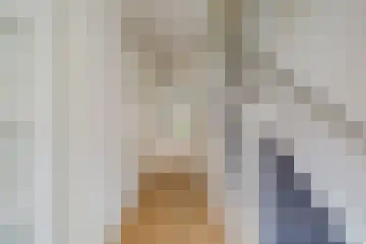 Olijfboomhof 10 IJmuiden thumbnail 8