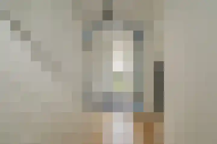Olijfboomhof 10 IJmuiden thumbnail 9