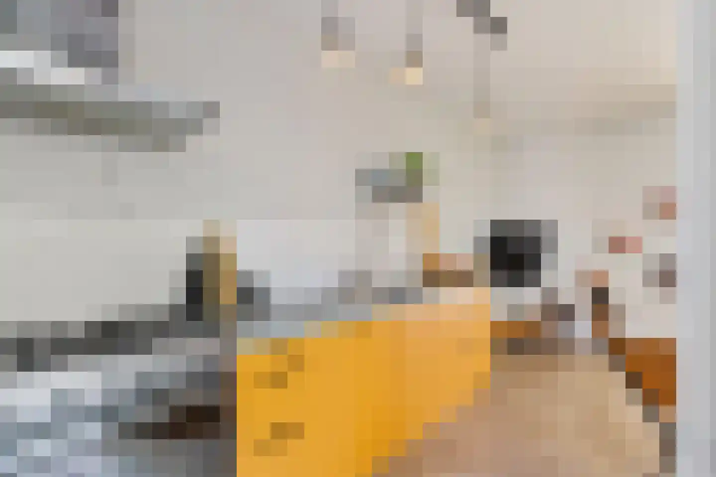 Olijfboomstraat 14 Utrecht thumbnail 12