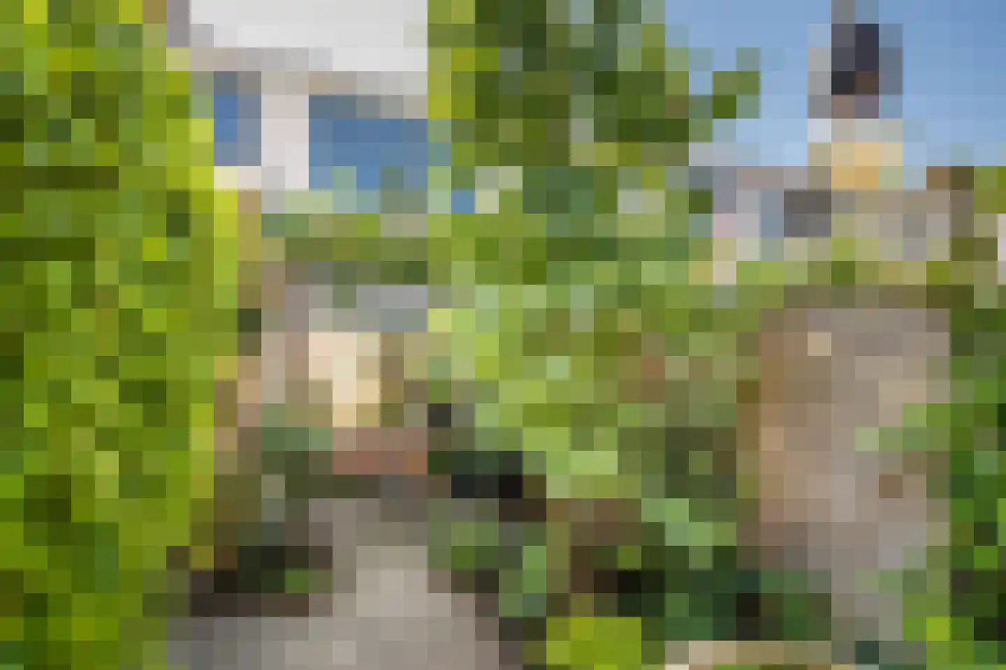 Olijfboomstraat 14 Utrecht thumbnail 18