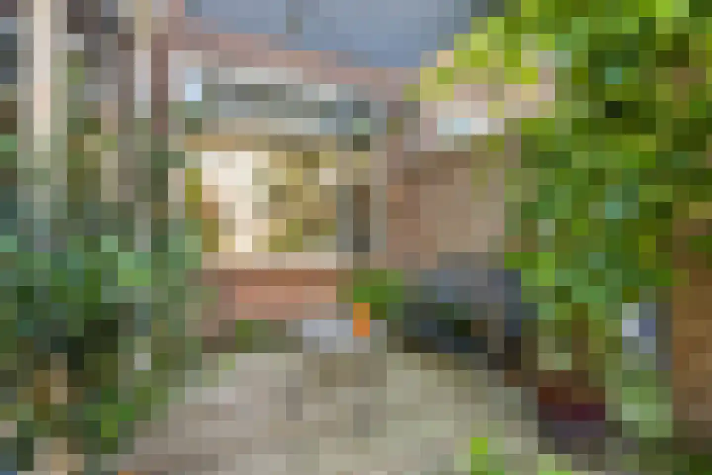 Olijfboomstraat 14 Utrecht thumbnail 19