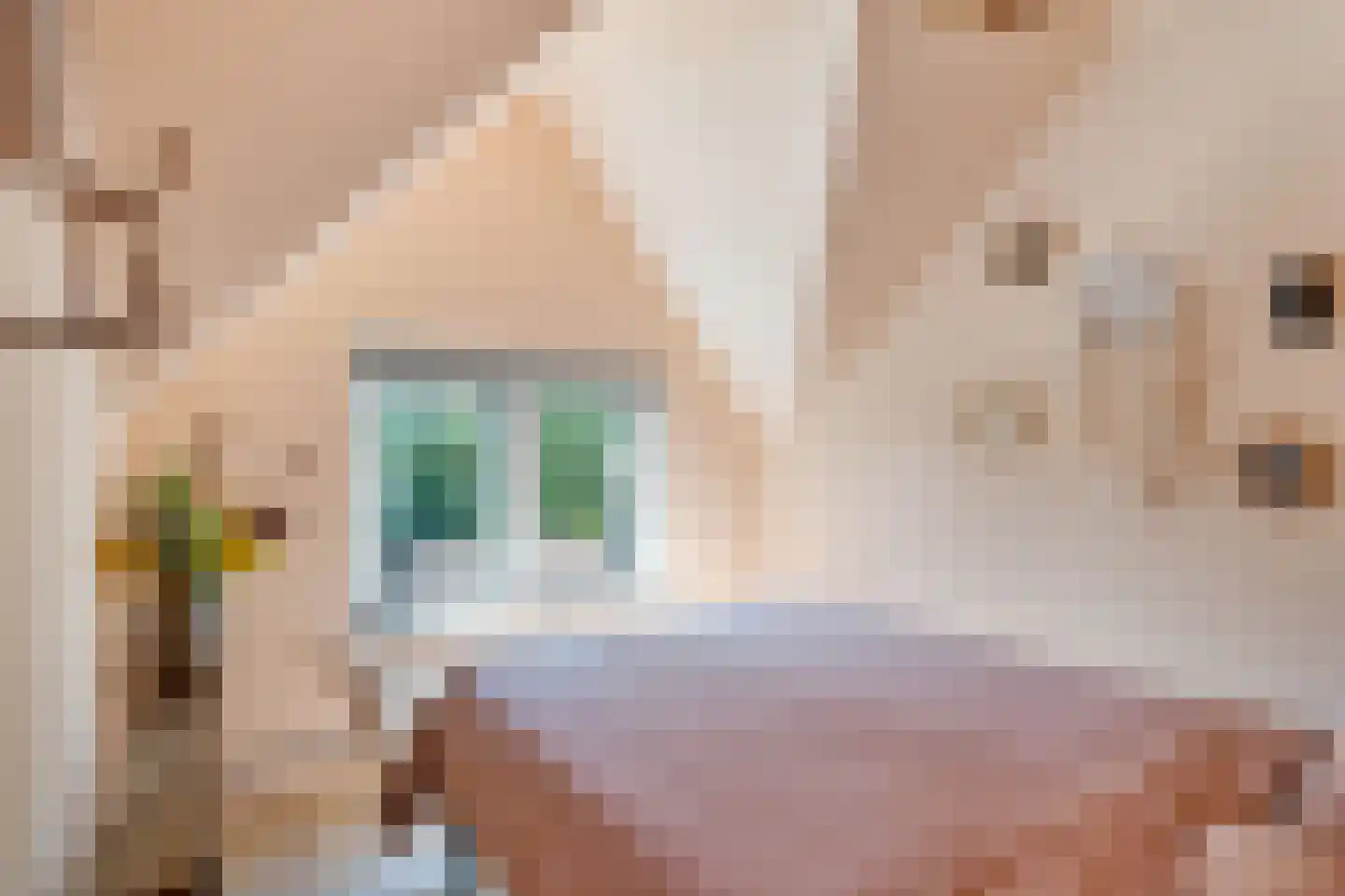 Olijfboomstraat 14 Utrecht thumbnail 22