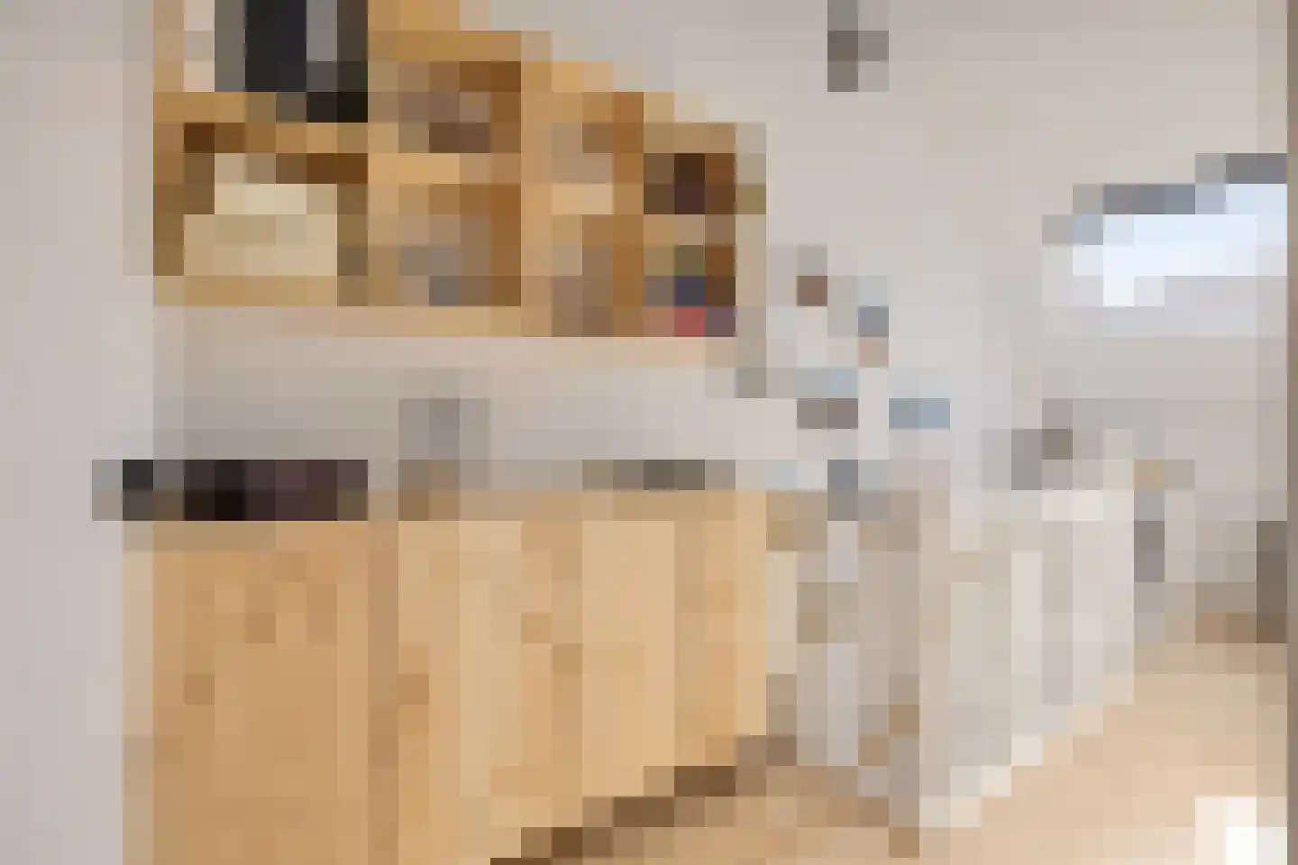 Olijfboomstraat 14 Utrecht thumbnail 30
