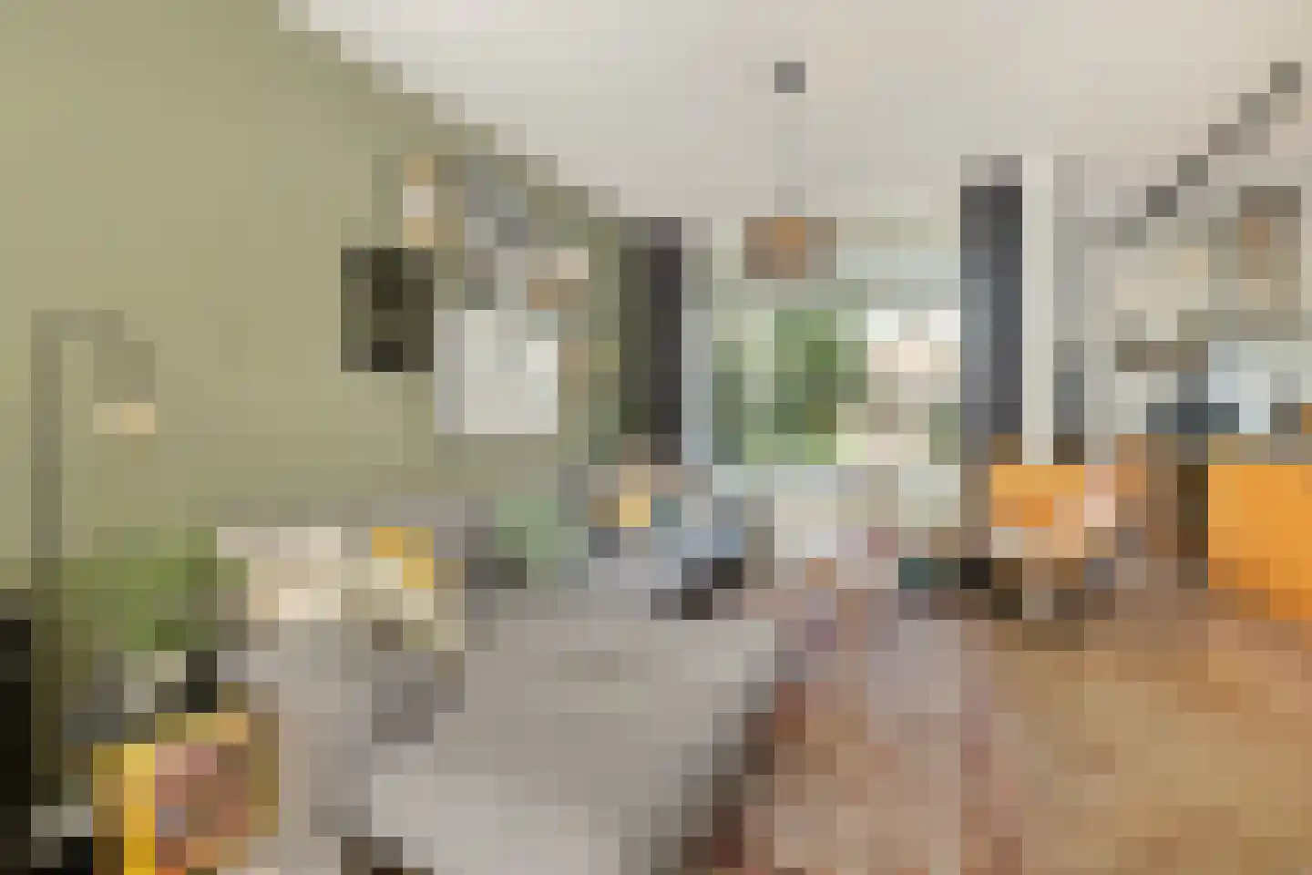 Olijfboomstraat 14 Utrecht thumbnail 4
