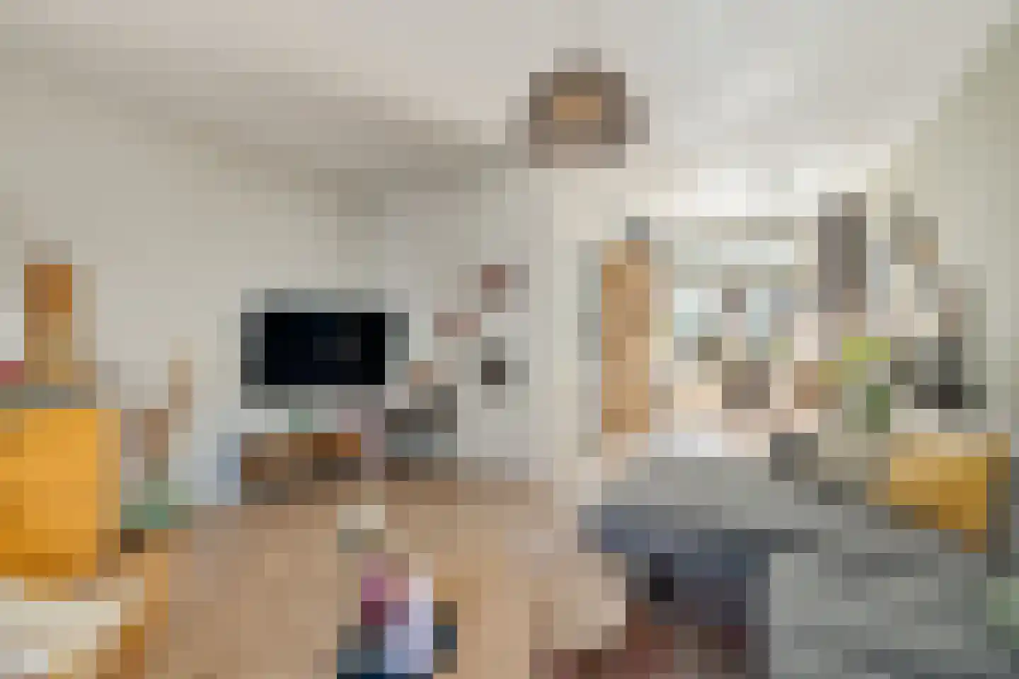 Olijfboomstraat 14 Utrecht thumbnail 6