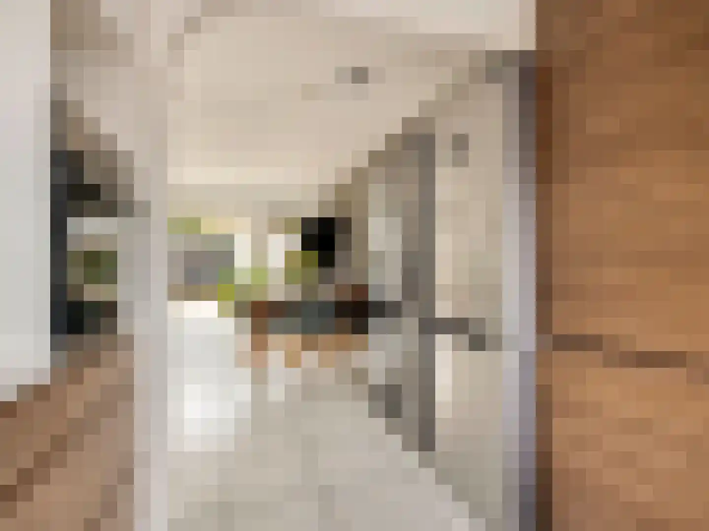 Olijfgaard 17 Spijkenisse thumbnail 10