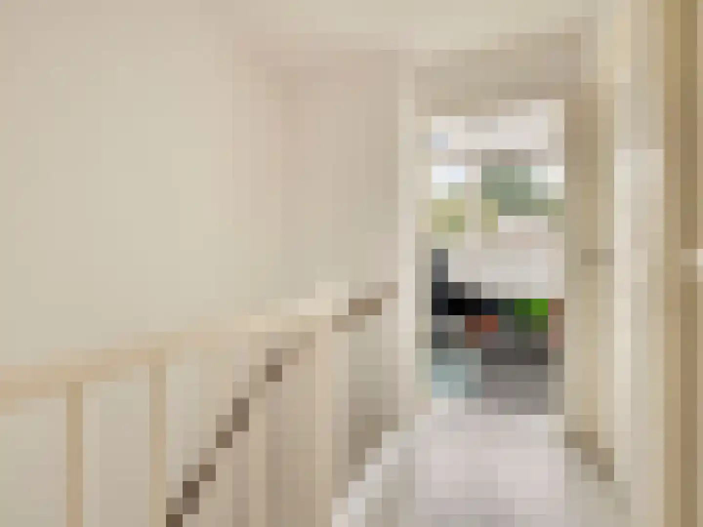 Olijfgaard 17 Spijkenisse thumbnail 14