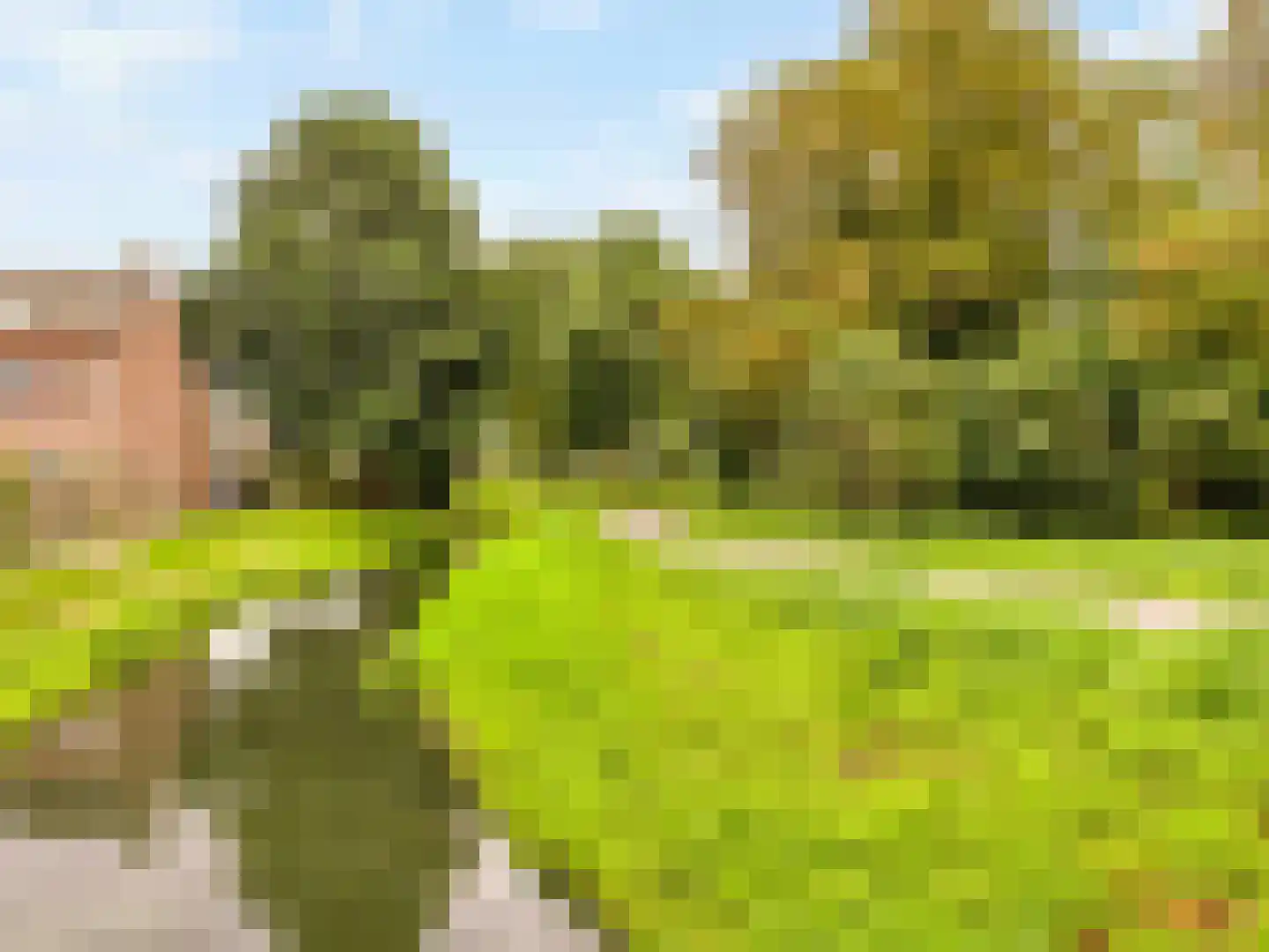 Olijfgaard 17 Spijkenisse thumbnail 35