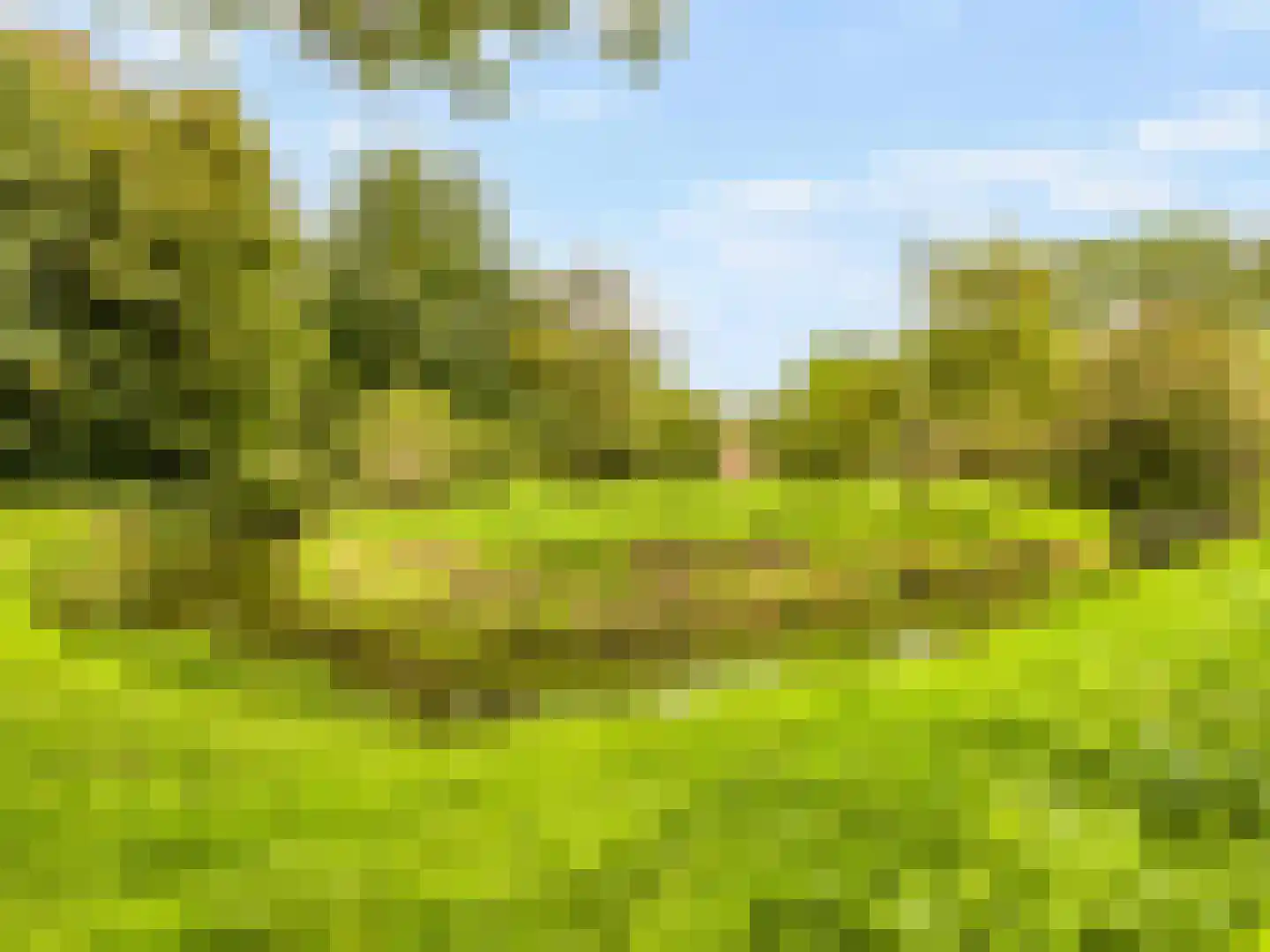 Olijfgaard 17 Spijkenisse thumbnail 37