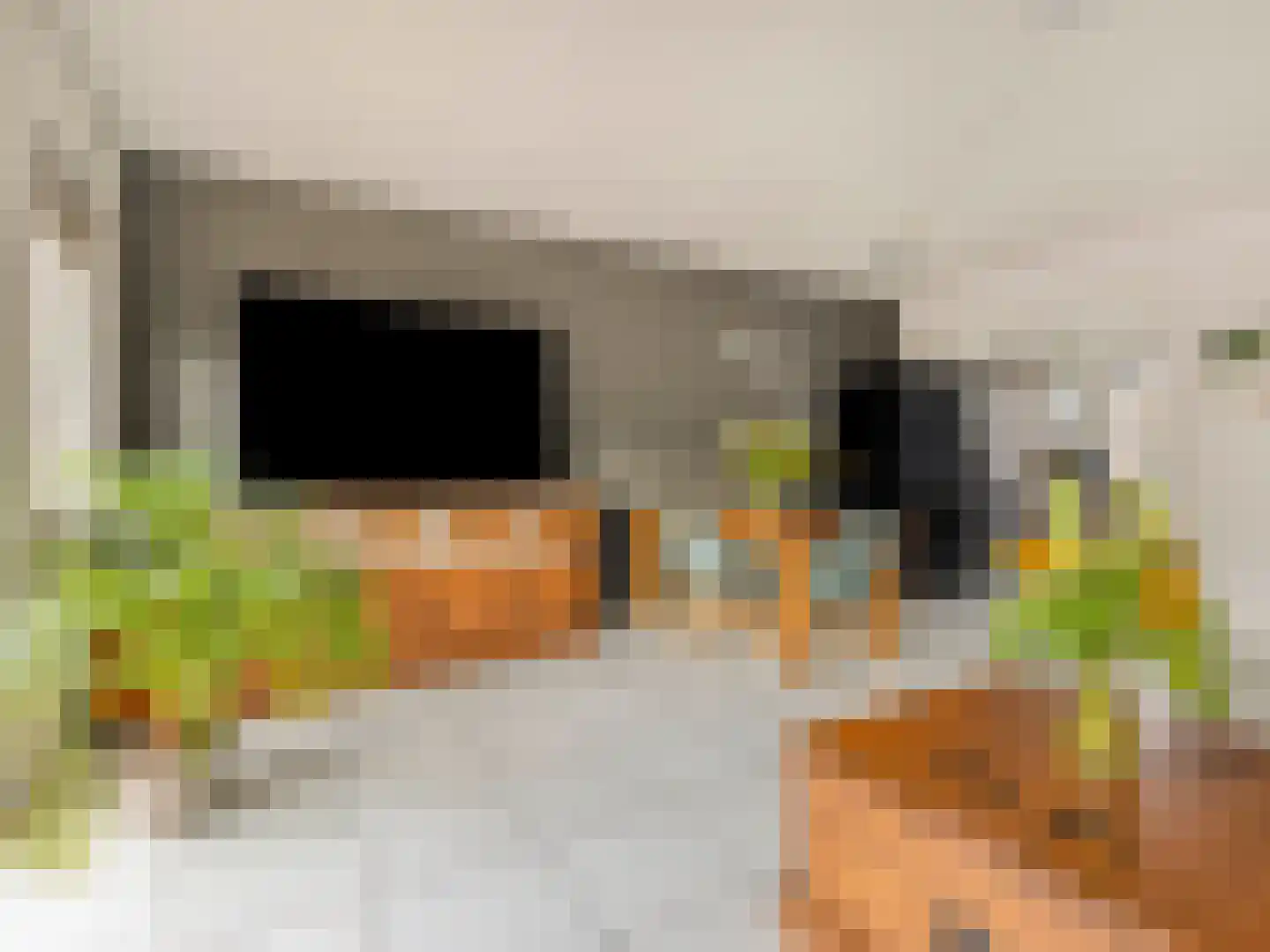 Olijfgaard 17 Spijkenisse thumbnail 6
