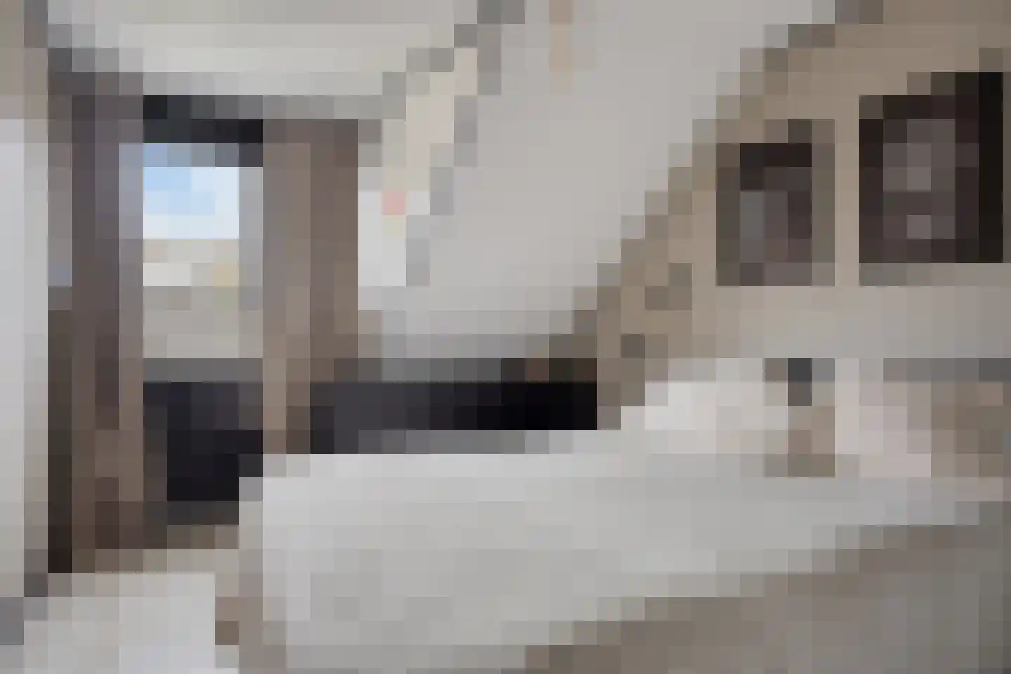 Olijfgaard 22 Spijkenisse thumbnail 16