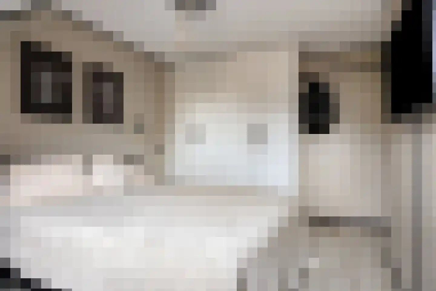 Olijfgaard 22 Spijkenisse thumbnail 17