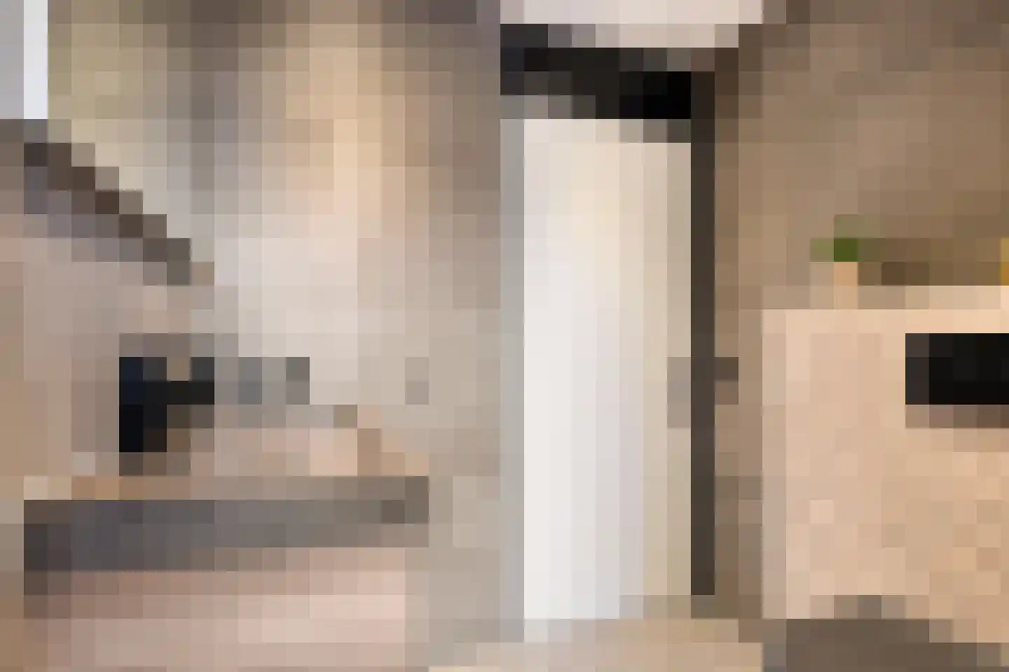 Olijfgaard 22 Spijkenisse thumbnail 19